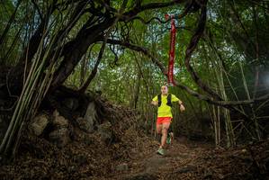 BIB: 
                            <button type="button" onclick="openModal(22177400)" class="btn btn-primary btn-sm float-right btn-popup" data-toggle="modal" data-target=".modal-high-quality">
                        <i class="fas fa-shopping-cart"></i> Add to Cart
                    </button>
                                            <button type="button" onclick="isThisMe(22177400, true)" class="btn btn-success btn-sm float-right btn-popup btn-isme hidden" data-toggle="tooltip" data-placement="bottom" title="นี่คือรูปของคุณใช่ไหม คลิกที่นี่เพื่อเอาเข้าอัลบั้ม">
                        <i class="fas fa-plus"></i> Add to album
                    </button>
                    <button type="button" onclick="isThisMe(22177400, false)" class="btn btn-warning btn-sm float-right btn-popup btn-isnotme hidden">
                        <i class="fas fa-ban"></i> Remove from album
                    </button>